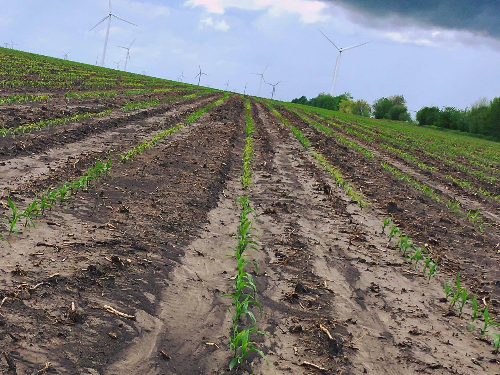 Seed Technology Startup Inari Aims to Transform Agriculture Seed ...